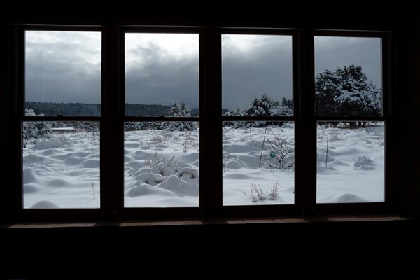 Looking out the zendo windows